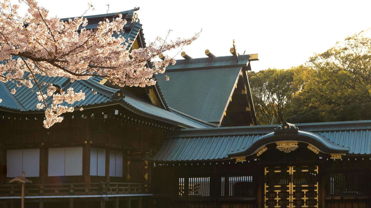 Casa in stil japonez caracteristici si particularitati - copac inflorit, casa in stil japonez