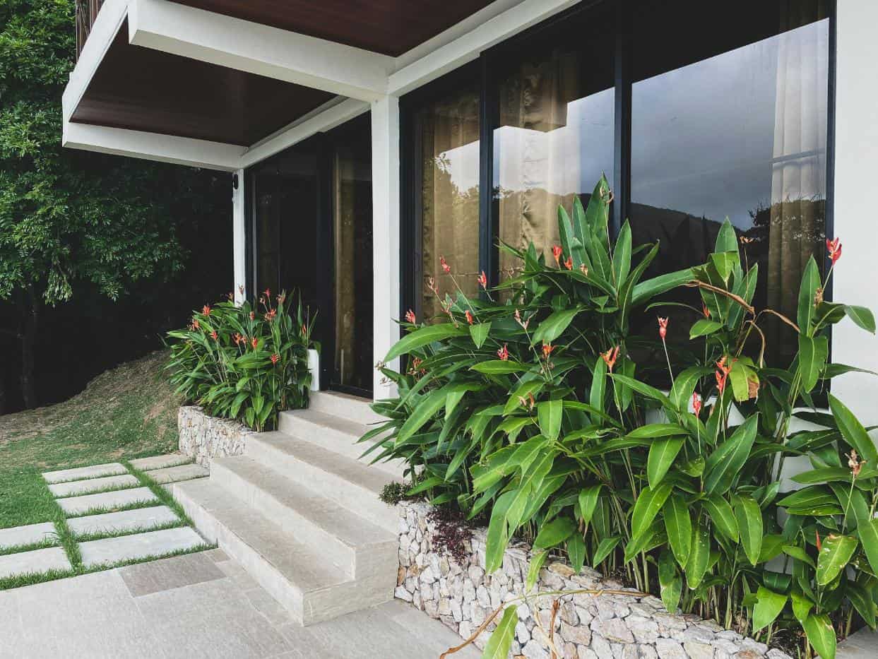 Duplex - o casă cu avantaje și dezavantaje - plante, ferestre, ușă de intrare